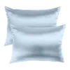 Mulberry Soft Silk Hypoallergenic Pillowcase Twin Pack 51x76cm In Light Blue