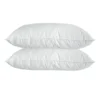 Luxury Quilted Bamboo Pillow Twin Pack